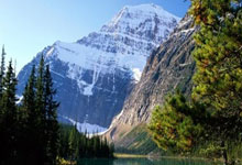 天涯论坛白银论坛：白银用户汇聚之地，火热贴吧风云再起